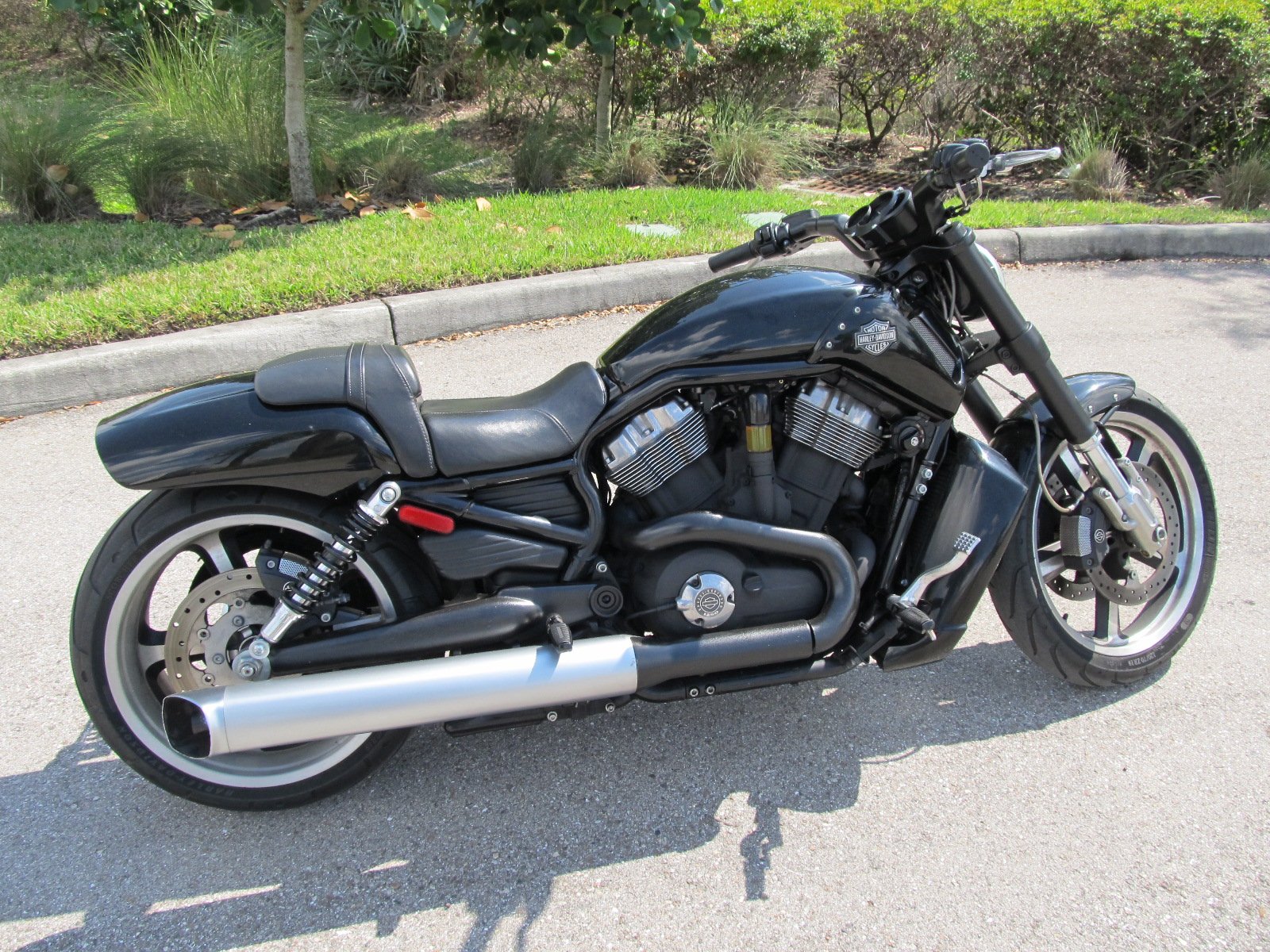 Pre Owned 2017 Harley Davidson V Rod Muscle Vrscf V Rod In West Palm Beach U802119 Palm Beach 9731