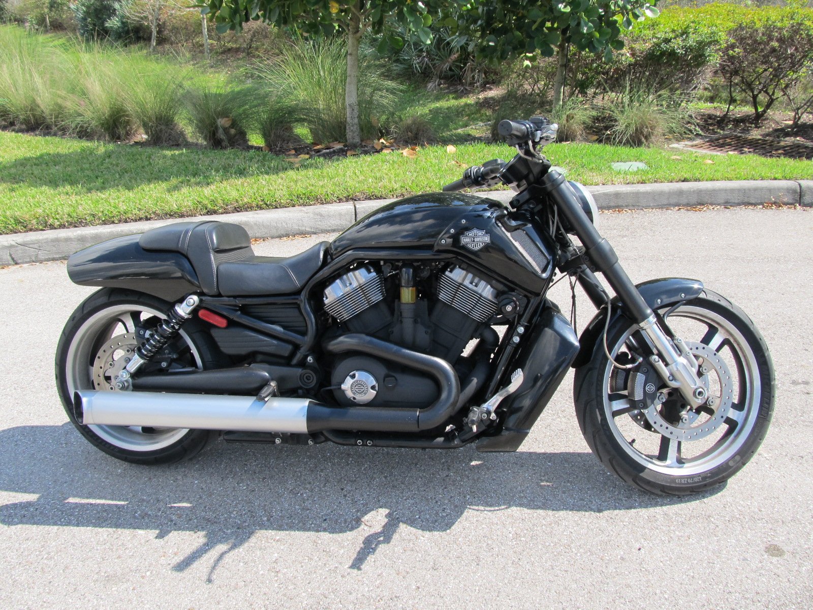 Pre Owned 2017 Harley Davidson V Rod Muscle Vrscf V Rod In West Palm Beach U802119 Palm Beach 5676