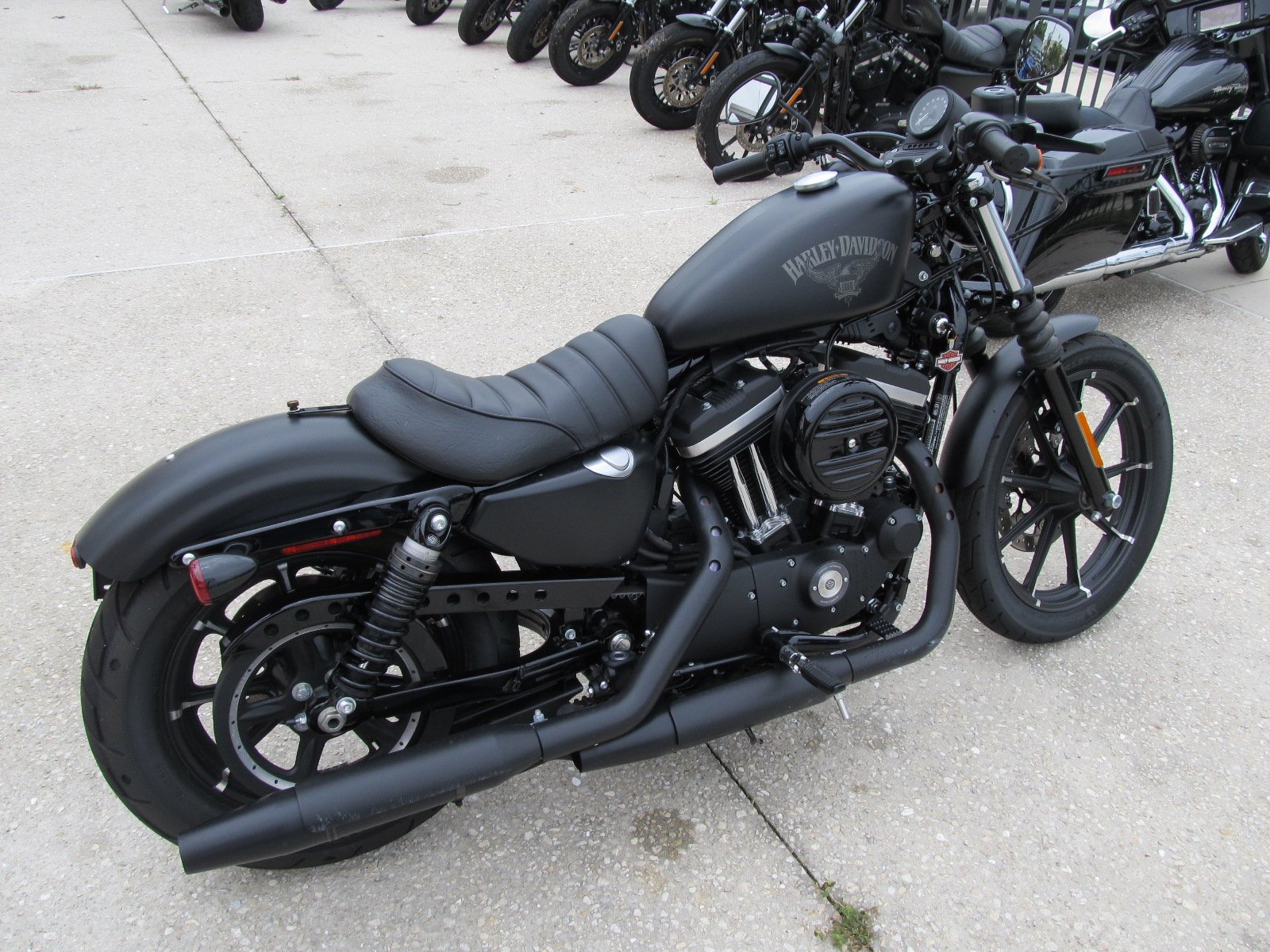 Harley davidson sportster 883 фото